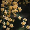sago_964
