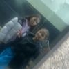 ruth_donnellan08