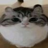 memerfromtown