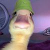 EL_ACTØØN🦆🔥