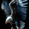 user961943681799