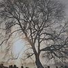 miscellaneous_vidz