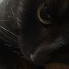catiya.jjj