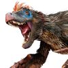 .velociraptor._