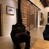 tfresh_01