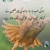 user2312110606009a