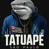 tubarao.p1