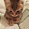 everythingislamrelated