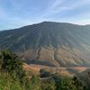 pecintalagugalau2