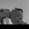 adppp3