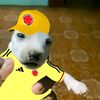 im._furvo