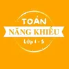 Toán Năng Khiếu Tiểu Học LT