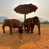 saradipitytravel
