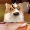 anvox_7
