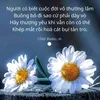 tue_lang1978
