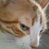 msanni81