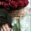 11.5abeer