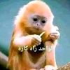sof.sofian1
