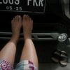 semut.merah.r033