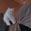 123islamicgirl3