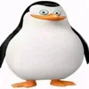 _mishag10_
