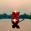 omshahad025
