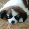 quecquecquecquecquec