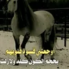 user5269318312556