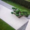 pomidor22l