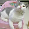 kimkim.q