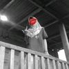 urlove_frh19