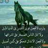 user8629362602731