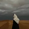 blanco_.99