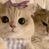 farh_861