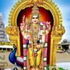 shashanth Bharath