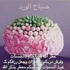 hady_687