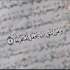 user5687228806148