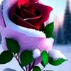 user3497303408180