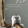 hameedullahkhankh1