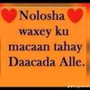 saciidomahme45