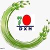 dxn.005