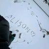 4llisssson
