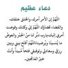 user5258116125654