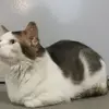 viviicecreamyum