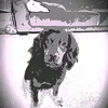 charliemills542