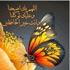 user96397303025686