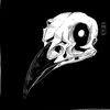 crowbrainsoup