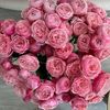 user9160091976874