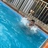 mrhumbleking3
