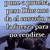 ody.gonzalez75